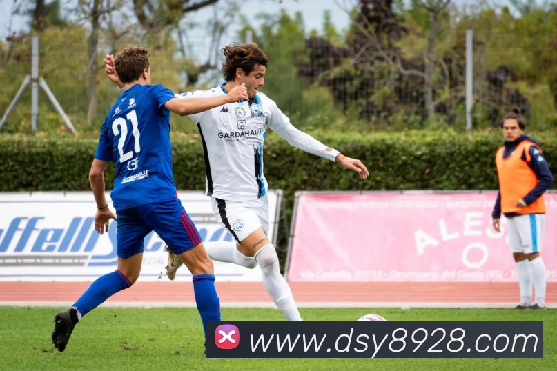 大三元官网平台登录品牌故事